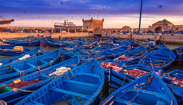 morocco desert tours