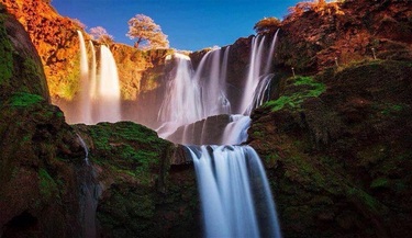 images