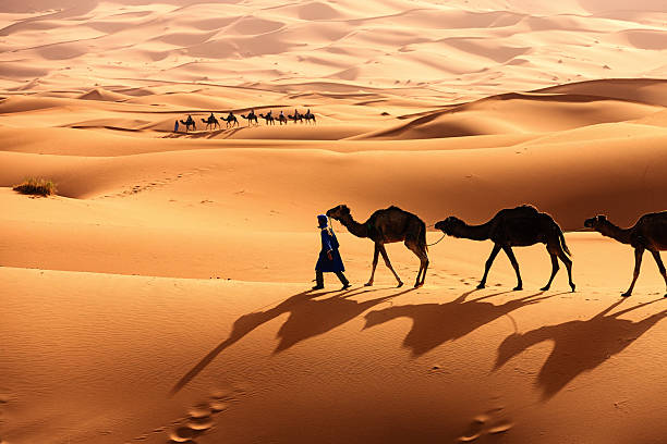 morocco desert tours