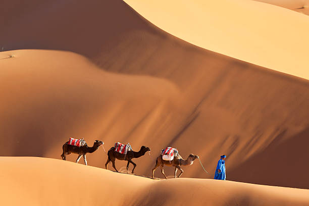 morocco desert tours